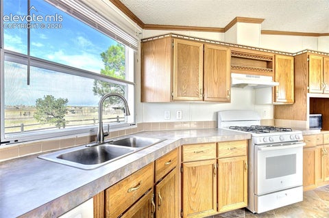 Tiny photo for 6375 Field View, Peyton, CO 80831 (MLS # 9175317)