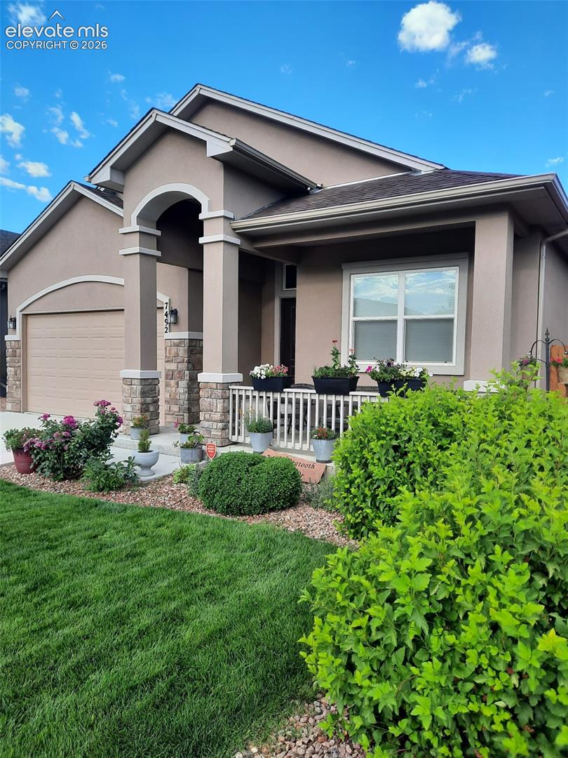 7492 Bigtooth Maple Drive