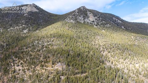 Photo of Alps Mountain Road, Idaho Springs, CO 80452 (MLS # 6467085)