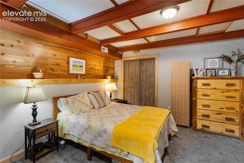 Tiny photo for 3912 Trout Creek Road, Woodland Park, CO 80863 (MLS # 7011958)