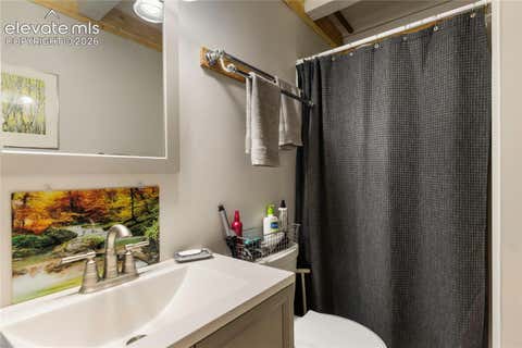 Tiny photo for 3912 Trout Creek Road, Woodland Park, CO 80863 (MLS # 7011958)
