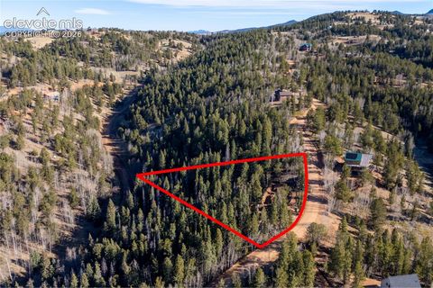 Photo of 565 Fairview Drive, Cripple Creek, CO 80813 (MLS # 3009775)