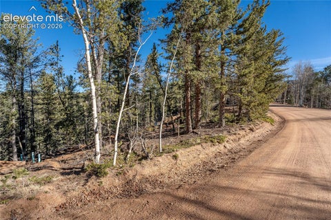 Photo of 565 Fairview Drive, Cripple Creek, CO 80813 (MLS # 3009775)