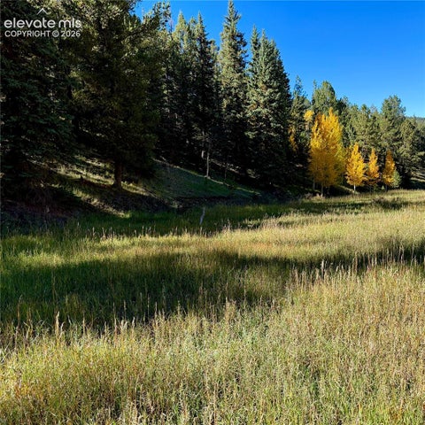 Photo of 535 Willow Road, Divide, CO 80814 (MLS # 5530991)
