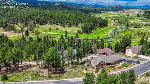 Photo of 215 Iron Eagle Point, Woodland Park, CO 80863 (MLS # 4438790)