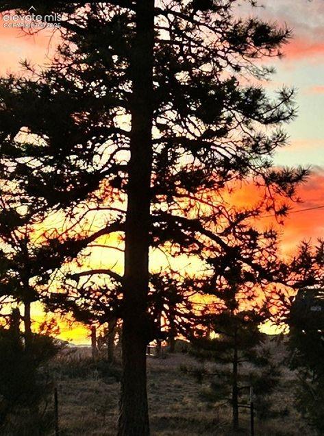 Tiny photo for 877 N Mountain Estates Road, Florissant, CO 80816 (MLS # 5330552)