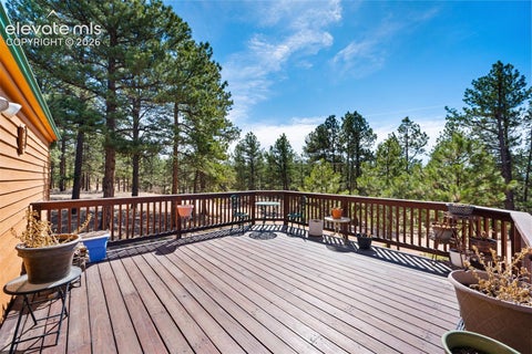 Tiny photo for 1299 Pikes Peak Drive, Florissant, CO 80816 (MLS # 9528618)