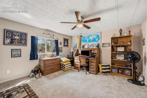 Tiny photo for 1299 Pikes Peak Drive, Florissant, CO 80816 (MLS # 9528618)