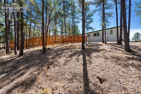 Tiny photo for 1299 Pikes Peak Drive, Florissant, CO 80816 (MLS # 9528618)