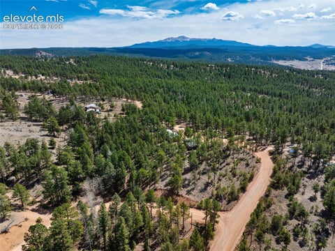 Tiny photo for 1299 Pikes Peak Drive, Florissant, CO 80816 (MLS # 9528618)