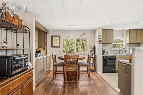 Tiny photo for 1299 Pikes Peak Drive, Florissant, CO 80816 (MLS # 9528618)