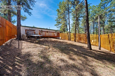 Tiny photo for 1299 Pikes Peak Drive, Florissant, CO 80816 (MLS # 9528618)
