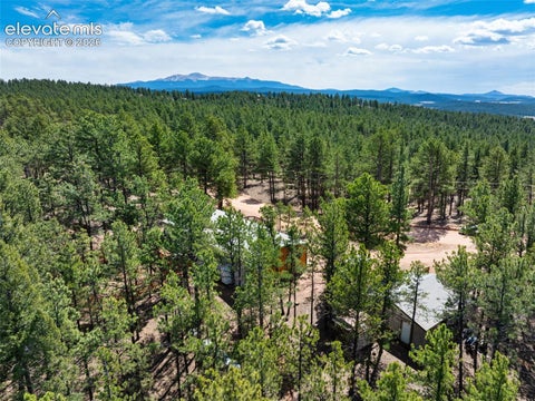 Tiny photo for 1299 Pikes Peak Drive, Florissant, CO 80816 (MLS # 9528618)