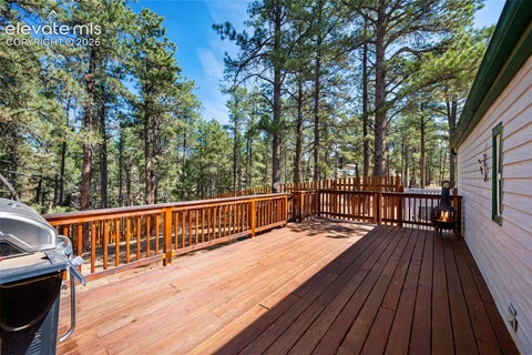 Tiny photo for 1299 Pikes Peak Drive, Florissant, CO 80816 (MLS # 9528618)