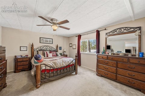 Tiny photo for 1299 Pikes Peak Drive, Florissant, CO 80816 (MLS # 9528618)