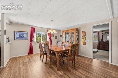 Tiny photo for 1299 Pikes Peak Drive, Florissant, CO 80816 (MLS # 9528618)