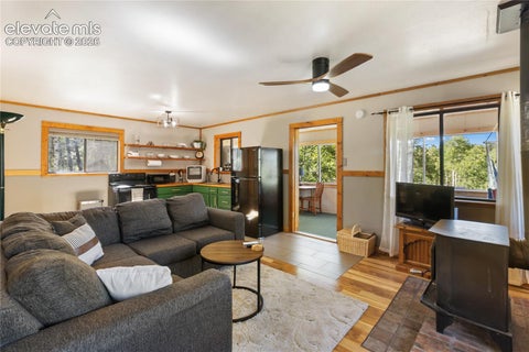 Tiny photo for 173 Deerview Drive, Florissant, CO 80816 (MLS # 8455413)