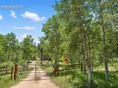 Tiny photo for 173 Deerview Drive, Florissant, CO 80816 (MLS # 8455413)