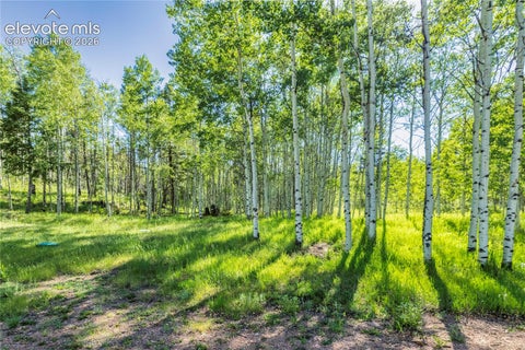 Tiny photo for 173 Deerview Drive, Florissant, CO 80816 (MLS # 8455413)