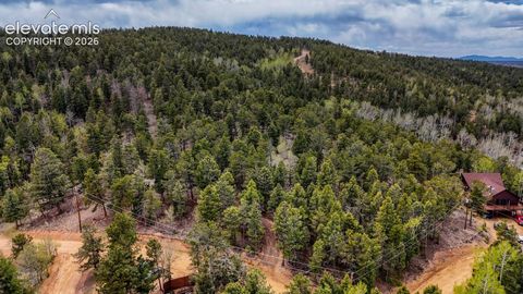 Photo of 259 Potlatch Trail, Woodland Park, CO 80863 (MLS # 9679800)