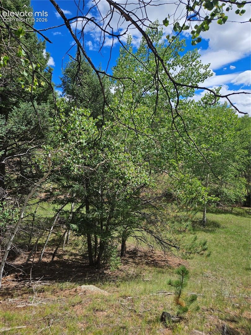 430 Pinon Lane