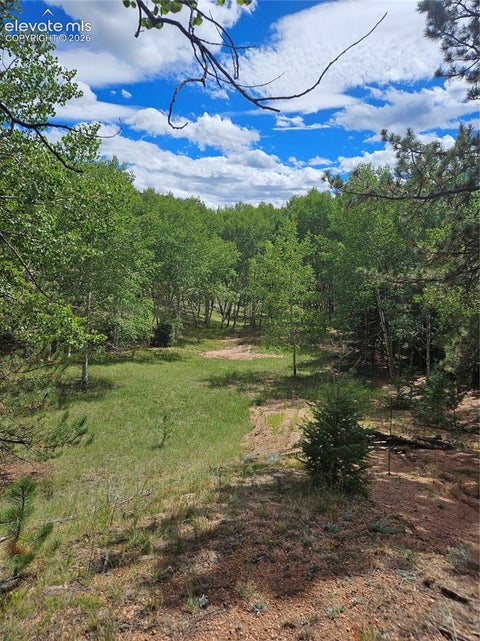 Photo of 430 Pinon Lane, Florissant, CO 80816 (MLS # 8760529)
