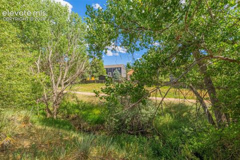 Tiny photo for 6515 Apex Court, Colorado Springs, CO 80911 (MLS # 7746594)