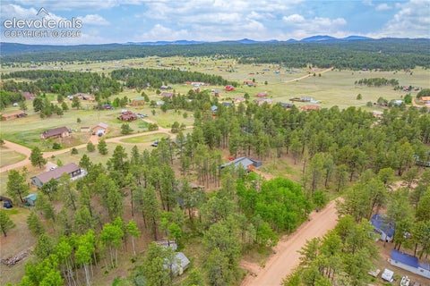 Tiny photo for 114 Homestead Lane, Florissant, CO 80816 (MLS # 4972537)