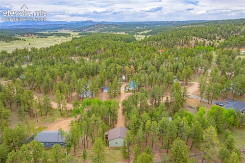 Tiny photo for 114 Homestead Lane, Florissant, CO 80816 (MLS # 4972537)