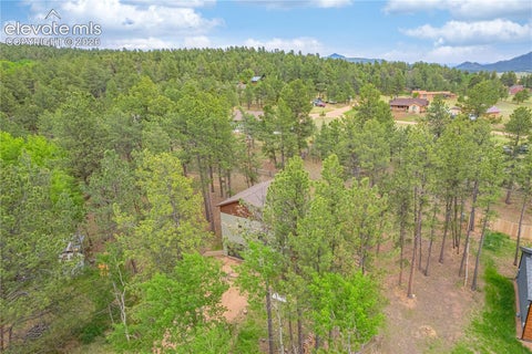 Tiny photo for 114 Homestead Lane, Florissant, CO 80816 (MLS # 4972537)