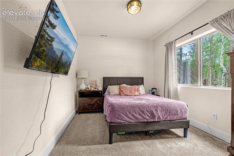 Tiny photo for 114 Homestead Lane, Florissant, CO 80816 (MLS # 4972537)