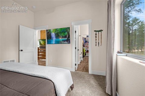 Tiny photo for 114 Homestead Lane, Florissant, CO 80816 (MLS # 4972537)