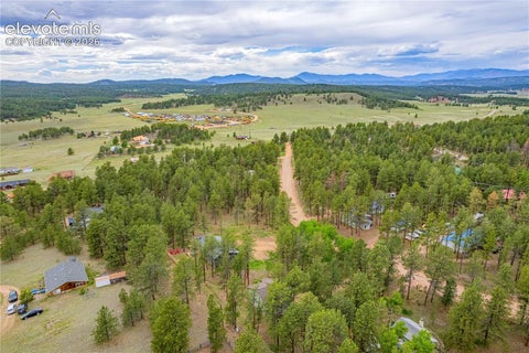 Tiny photo for 114 Homestead Lane, Florissant, CO 80816 (MLS # 4972537)