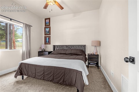 Tiny photo for 114 Homestead Lane, Florissant, CO 80816 (MLS # 4972537)