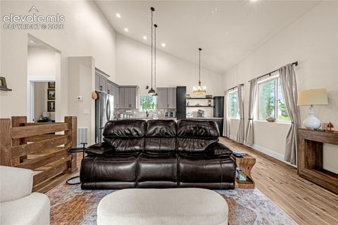 Tiny photo for 114 Homestead Lane, Florissant, CO 80816 (MLS # 4972537)
