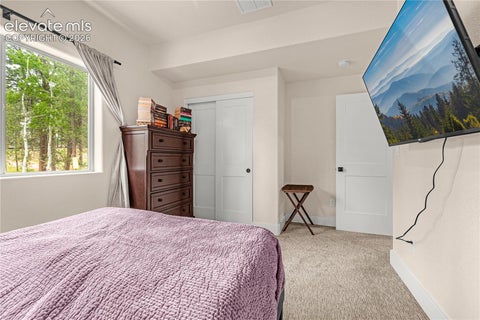 Tiny photo for 114 Homestead Lane, Florissant, CO 80816 (MLS # 4972537)