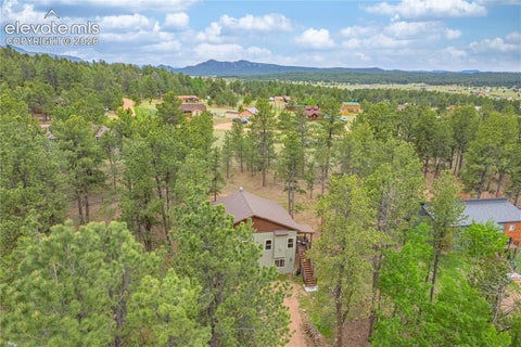 Tiny photo for 114 Homestead Lane, Florissant, CO 80816 (MLS # 4972537)
