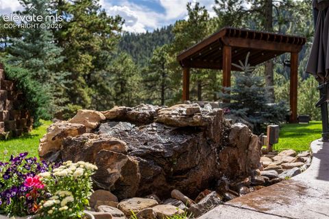 Tiny photo for 2441 Glen Cove Drive, Woodland Park, CO 80863 (MLS # 8303480)