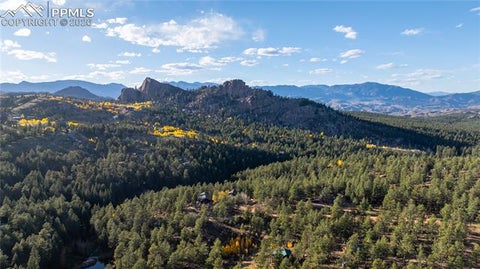 Tiny photo for 71 Durelli Drive, Woodland Park, CO 80863 (MLS # 7133129)