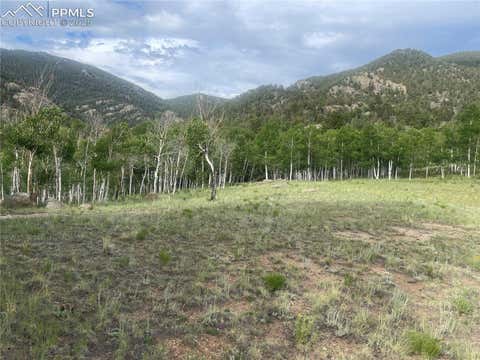 Photo of 171 Emerald Way, Lake George, CO 80827 (MLS # 4127223)