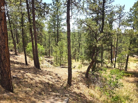 Tiny photo for 4465 Leprechaun Lane, Colorado Springs, CO 80908 (MLS # 2357946)