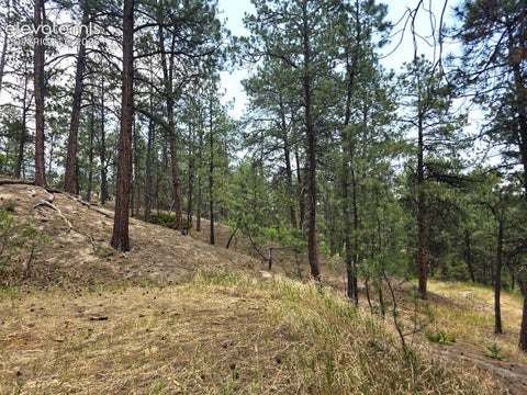 Tiny photo for 4465 Leprechaun Lane, Colorado Springs, CO 80908 (MLS # 2357946)