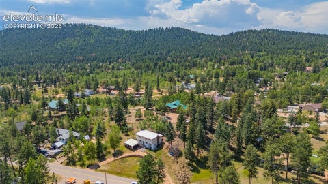 Tiny photo for 1030 Woodland Avenue, Woodland Park, CO 80863 (MLS # 1675475)