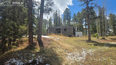 Photo of 129 Mt Elbert Road, Florissant, CO 80816 (MLS # 9511512)