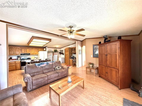 Tiny photo for 17 Amanda Circle, Florissant, CO 80816 (MLS # 4185644)