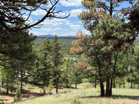 Tiny photo for 17 Amanda Circle, Florissant, CO 80816 (MLS # 4185644)
