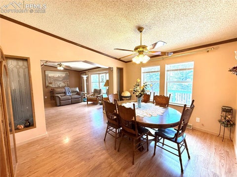 Tiny photo for 17 Amanda Circle, Florissant, CO 80816 (MLS # 4185644)
