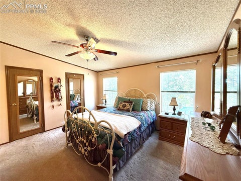 Tiny photo for 17 Amanda Circle, Florissant, CO 80816 (MLS # 4185644)