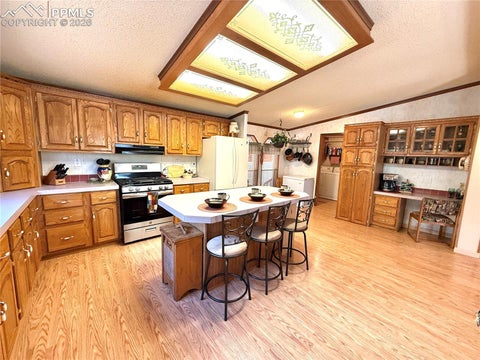 Tiny photo for 17 Amanda Circle, Florissant, CO 80816 (MLS # 4185644)