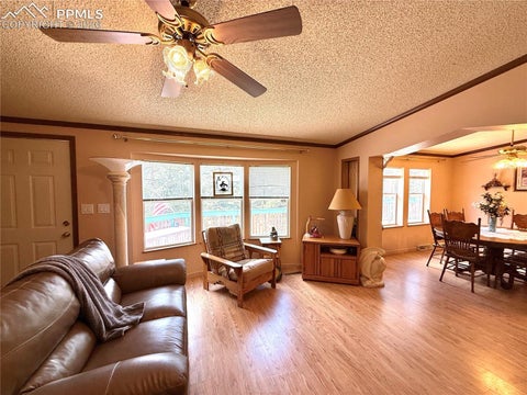 Tiny photo for 17 Amanda Circle, Florissant, CO 80816 (MLS # 4185644)